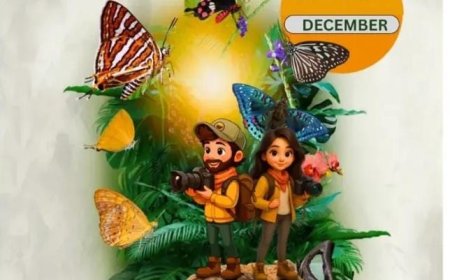 कांगेर घाटी में 5 से 7 दिसंबर तक बटरफ्लाई मीट 20 नवंबर तक होगा प्रतिभागियों का पंजीयन