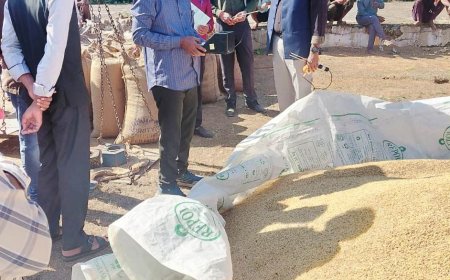 कलेक्टर श्री हरिस एस द्वारा धान उपार्जन केंद्रों का सघन निरीक्षण–