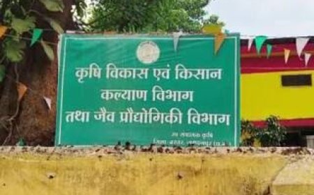 प्रधानमंत्री अन्नदाता आय संरक्षण अभियान ,कृषि मंत्री श्री नेताम ने एकीकृत किसान पोर्टल में अपने फसल रकबे का पंजीयन कराने किसानों से की अपील