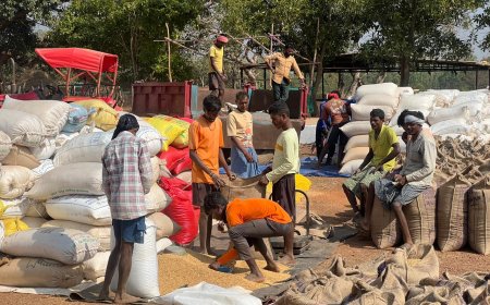 धान खरीदी व्यवस्था से किसानों में खुशी का माहौल  , मूली धान खरीदी केंद्र में किसानों ने कहा मिल रही सभी को  सहूलियत