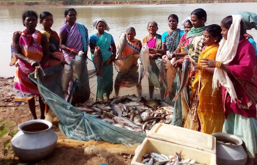 बस्तर में अब नीली क्रांति -25 सालों में, मछलीपालन उत्पादन 08 गुना बढ़ा ,जिले के 10 हजार से ज्यादा मत्स्यपालक एवं किसान हुए लाभान्वित–