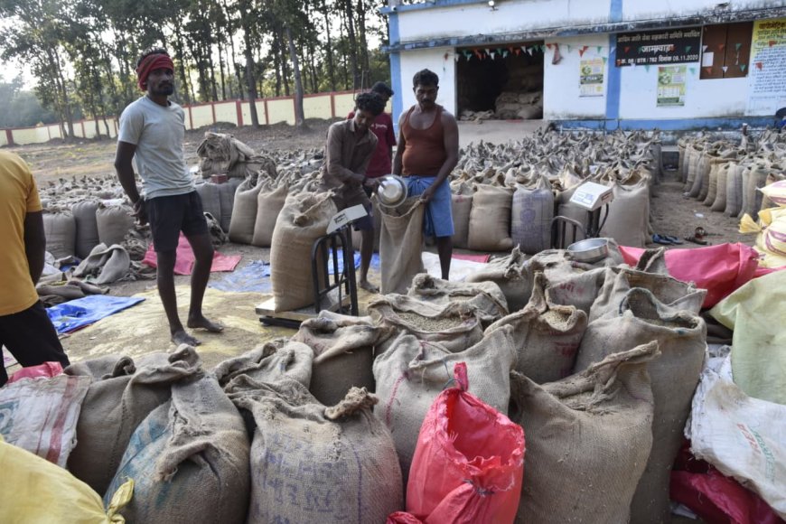 जमावाड़ा धान उपार्जन केंद्र में, सुगमता और सहयोग की मिसाल- किसानों ने जताई संतुष्टि