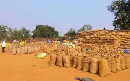 अवैध धान रोकने और केंद्रों के निरीक्षण हेतु कलेक्टर का सख्त आदेश,  धान खरीदी को पारदर्शी बनाने के लिए डिप्टी कलेक्टरों सहित 8 अधिकारियों की ड्यूटी लगाई