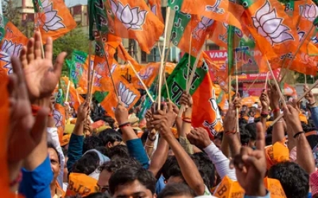 क्या भाजपा युवा मोर्चा में नए चेहरे को ग्रामीण से बस्तर जिला अध्यक्ष पद की मिलेगी जिम्मेदारी ?