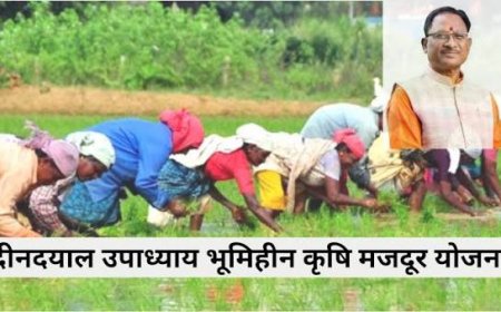 दीनदयाल उपाध्याय भूमिहीन कृषि मजदूर कल्याण योजना, पात्र हितग्राहियों का 25 दिसम्बर तक होगा पुनः सत्यापन एवं ई-केवायसी