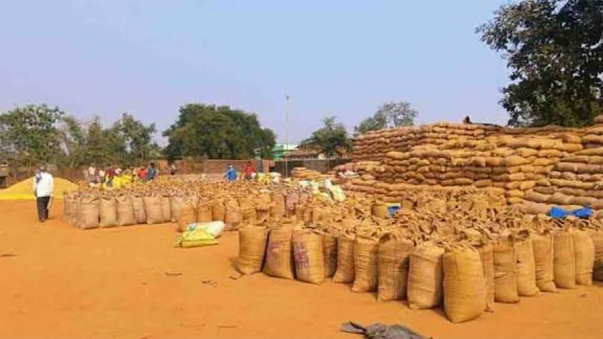 अवैध धान रोकने और केंद्रों के निरीक्षण हेतु कलेक्टर का सख्त आदेश,  धान खरीदी को पारदर्शी बनाने के लिए डिप्टी कलेक्टरों सहित 8 अधिकारियों की ड्यूटी लगाई