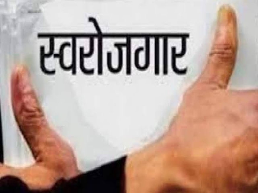 स्वरोजगार का मौका छत्तीसगढ़ खादी तथा ग्रामोद्योग बोर्ड ने युवाओं से मंगाए आवेदन