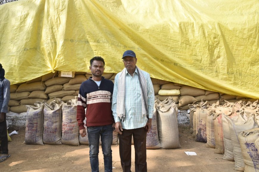 समर्थन मूल्य पर धान विक्रय से मिला खेती-किसानी को बढ़ावा, अब रबी फसल की तैयारी में लगे किसान